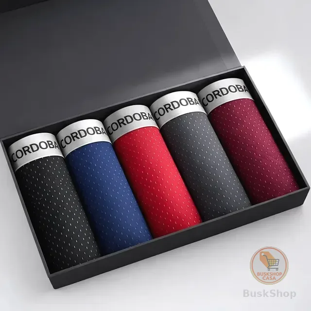 Kit 5 Cuecas Masculinas Dry Fit Lisas Variadas Microfibra