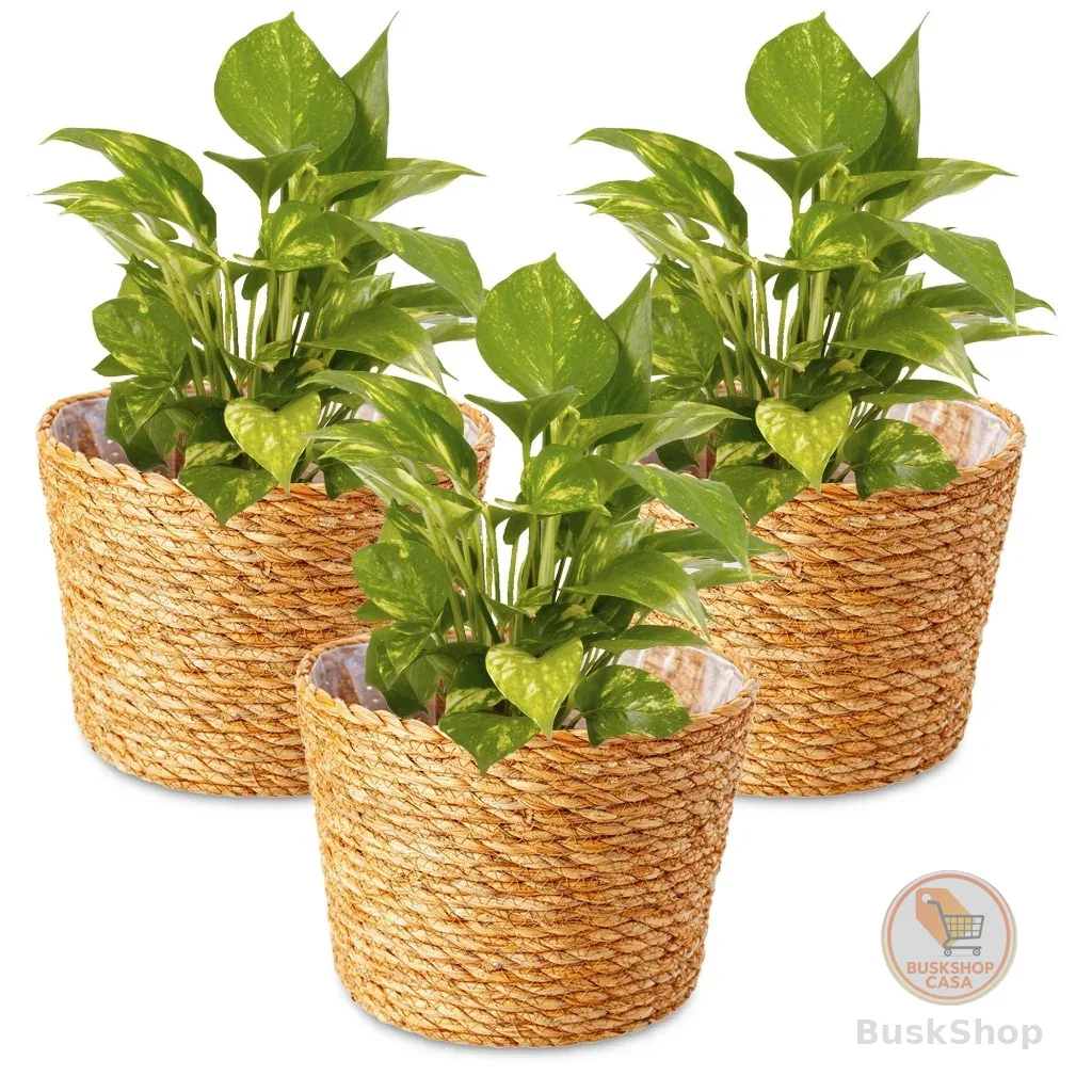 Kit Com 3 Vasos Palha Natural Jogo Trio Cachepot Fibra Natural Estilo Vime Decorativo Flores Plantas