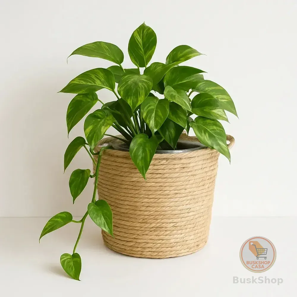 Cesto Grande Palha Natural Alça E Forro Decoração Ambiente Cachepot Fibra Natural Boho Para Plantas E Organização Vaso Decorativo
