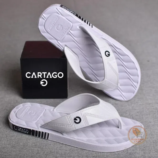 Chinelo Masculino Adulto Confortável Leve e Antiderrapante