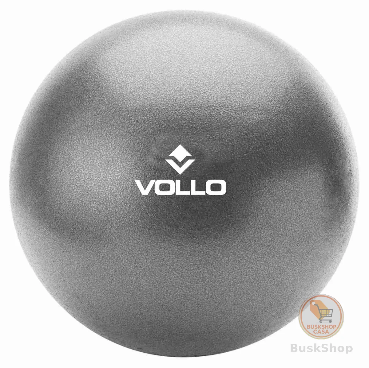 Mini Bola De Exercicios Cinza 25cm