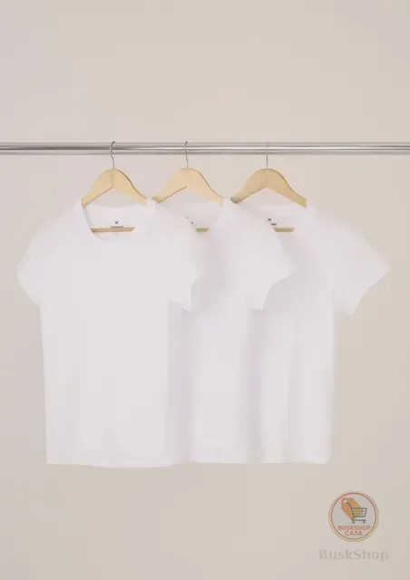 Kit Com 3 Camisetas Femininas Básicas Baby Look Hering