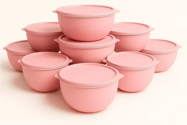 Conjunto 11 Peças Plasticos Multiuso Freezer Microondas