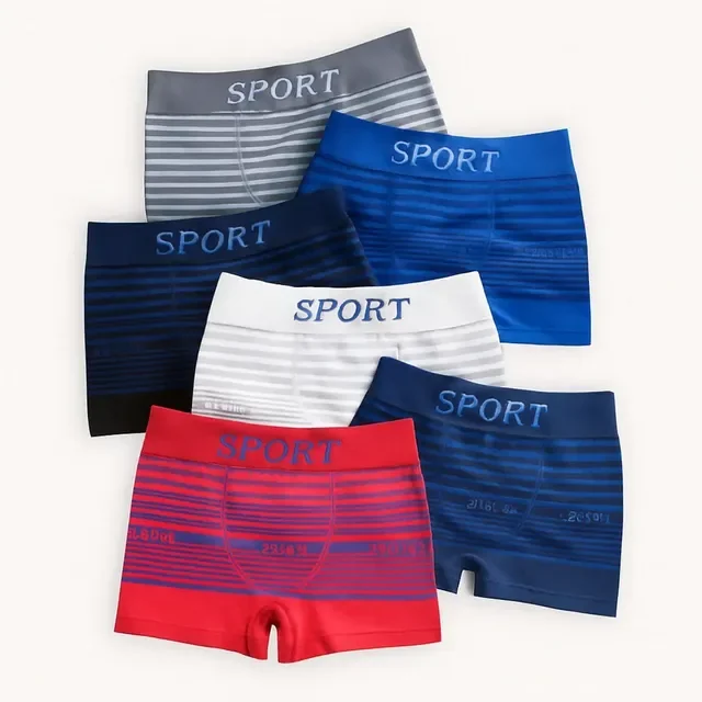 Kit 5 Cueca Boxer Masculina Microfibra Cueca Box De Adulto