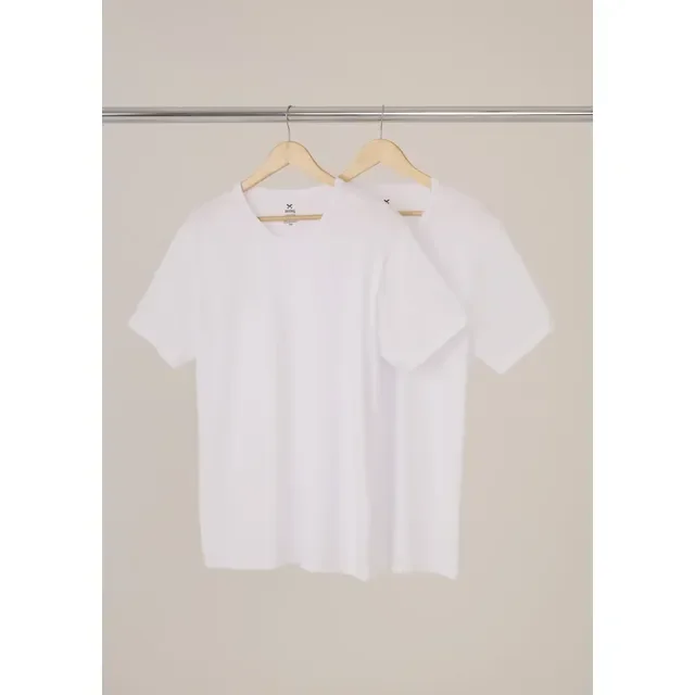 Kit Com 2 Camisetas Masculinas Básicas Slim Hering